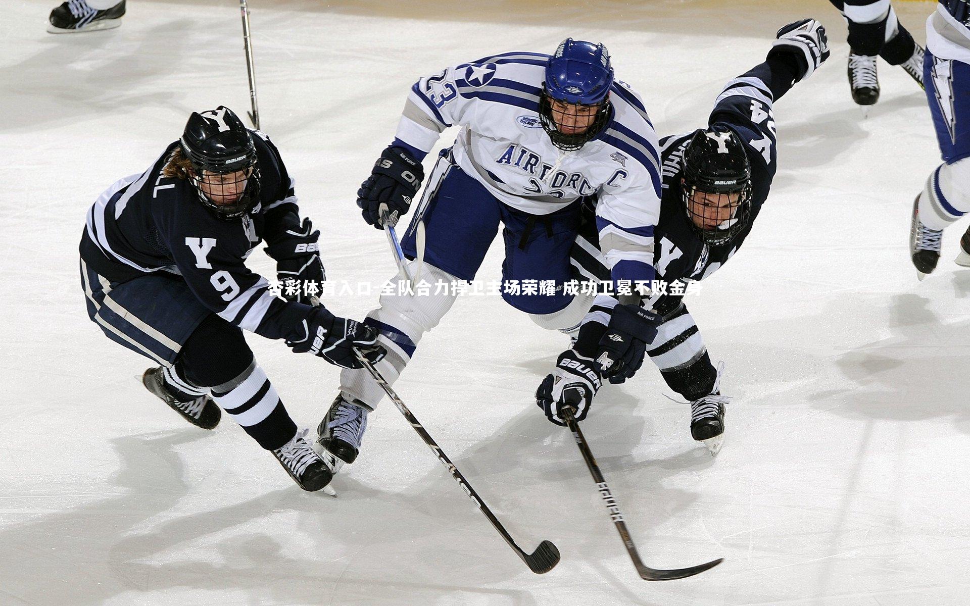 全队合力捍卫主场荣耀 成功卫冕不败金身