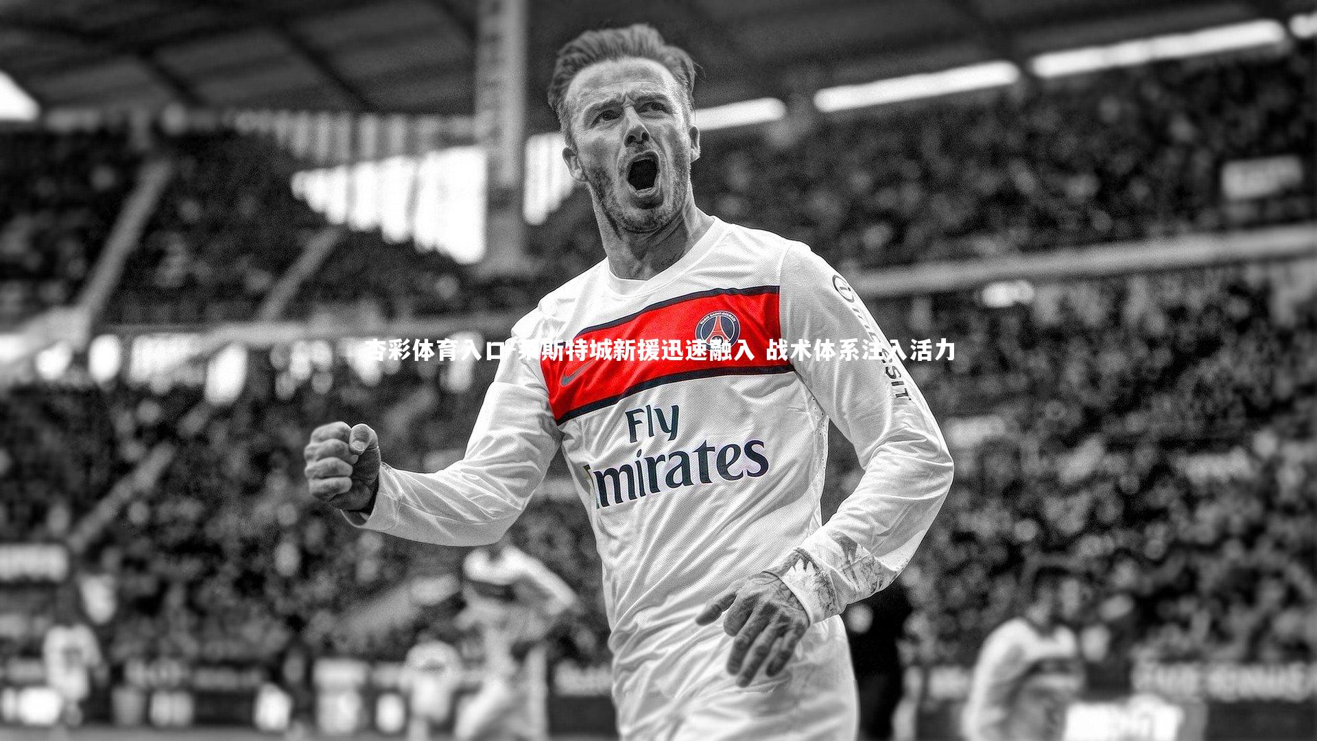 莱斯特城新援迅速融入 战术体系注入活力